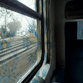 Przykładowe GIF-y zapisane Q-Smart Elite Przykładowe GIF-y zapisane Q-Smart Elite