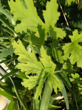 Przykładowe zdjęcia Przykładowe zdjęcia