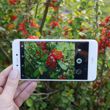 Huawei P9 Lite 2017 (PRA-LX1)