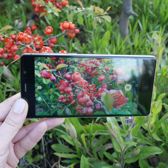 Archos 55 Diamond Selfie