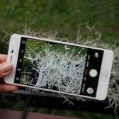 Nubia M2 Lite w biało-złotym kolorze obudowy Nubia M2 Lite w biało-złotym kolorze obudowy