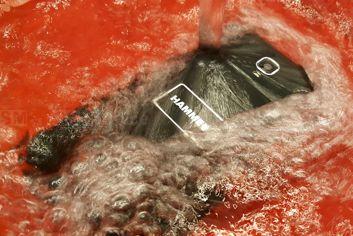 Hammer Active Hammer Active