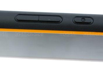 Hammer Active Hammer Active