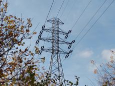 Ujęcia z zoomem bezstratnym i cyfrowym