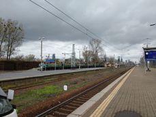 Ujęcia z zoomem bezstratnym i cyfrowym