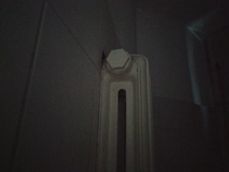 Zdjęcia w słabym świetle (także z diodą LED)