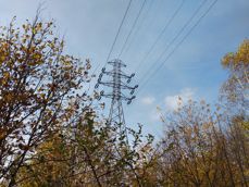 Ujęcia z zoomem bezstratnym i cyfrowym