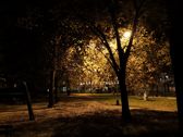 Huawei Mate 10 Pro - zdjęcia