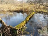 Porównanie kadrów z obu obiektywów