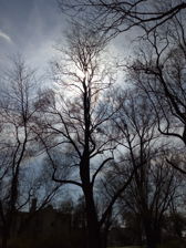 Przykładowe zdjęcia z frontowego aparatu Przykładowe zdjęcia z frontowego aparatu