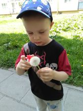 Przykładowe zdjęcia