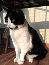 Przykładowe zdjęcia