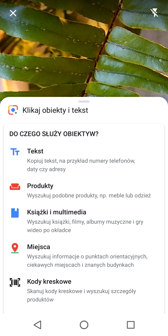 Rozpoznawanie obiektów przez aparat