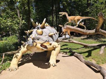 Po lewej - zdjęcia w trybie auto | Po prawej - zdjęcia ze wsparciem AI