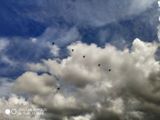 Zoom - bezstratny i cyfrowy