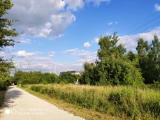 Zoom - bezstratny i cyfrowy