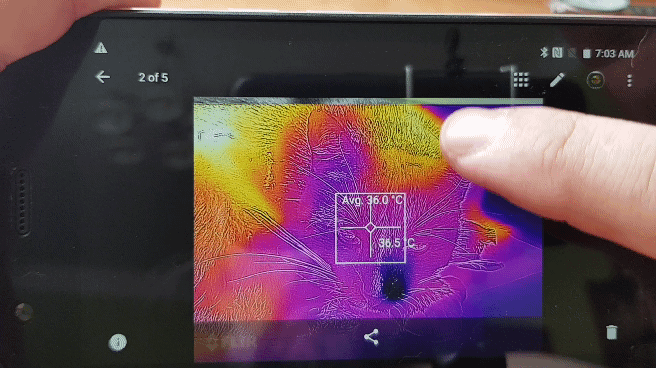 Flir - świetna zabawa ze zdjęciami w podczerwieni