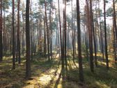 Przykładowe zdjęcia