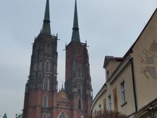 Zbliżenie: standard; bezstratne 2x; cyfrowe 8x