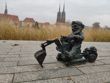 Zdjęcia dzienne