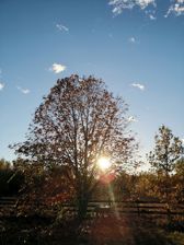 Huawei Mate 20 Pro - zdjęcia z aparatu