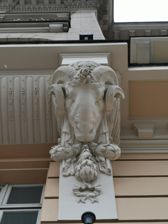 Huawei Mate 20 Pro - zdjęcia z aparatu