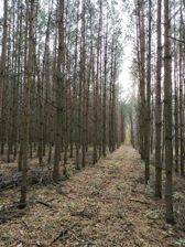 Huawei Mate 20 Pro - zdjęcia z aparatu