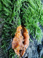 Huawei Mate 20 Pro - zdjęcia z aparatu