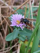 Huawei Mate 20 Pro - zdjęcia z aparatu