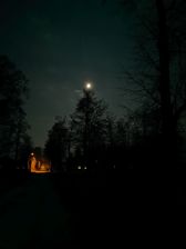 Huawei Mate 20 Pro - zdjęcia z aparatu