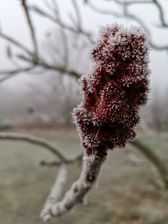 Huawei Mate 20 Pro - zdjęcia z aparatu