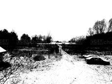 Huawei Mate 20 Pro - filtry