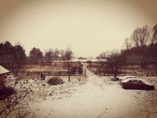 Huawei Mate 20 Pro - filtry