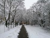 Przykładowe zdjęcia
