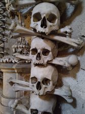 Przykładowe zdjęcia z głównego aparatu