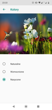 Elementy i wybrane funkcje interfejsu