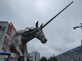 Przykładowe zdjęcia z głównego aparatu