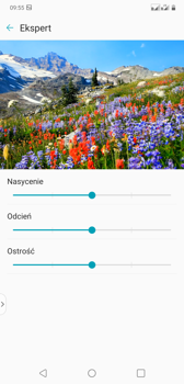 Dostosowanie parametrów obrazu Dostosowanie parametrów obrazu