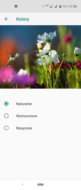 Ustawienia, nawigacja, gesty i obraz