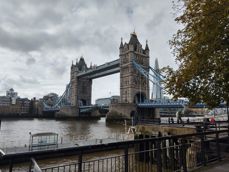 Szeroki kąt, standard, zoom bezstratny