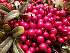 Przykładowe zdjęcia