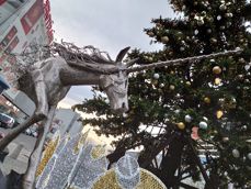 Przykładowe zdjęcia