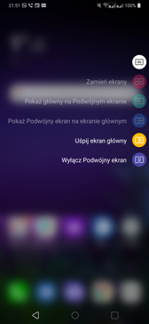 Ustawienia podwójnego ekranu