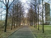 Przykładowe zdjęcia