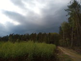 Przykładowe zdjęcia