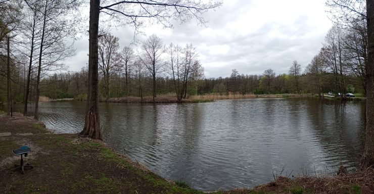 Panoramy