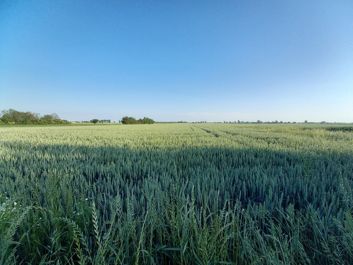 Porównanie zdjęć z głównego i szerokokątnego aparatu Porównanie zdjęć z głównego i szerokokątnego aparatu