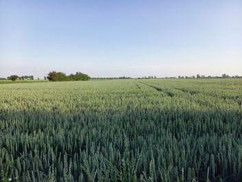 Porównanie zdjęć z głównego i szerokokątnego aparatu Porównanie zdjęć z głównego i szerokokątnego aparatu