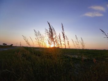 Porównanie zdjęć z głównego i szerokokątnego aparatu Porównanie zdjęć z głównego i szerokokątnego aparatu