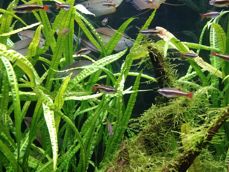 Porównanie zdjęć z poszczególnych aparatów